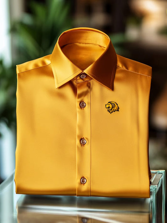 Ανδρική επιχείρηση πολυτελεία επιχειρηματικό στυλ μακριά μανίκι πουκάμιση