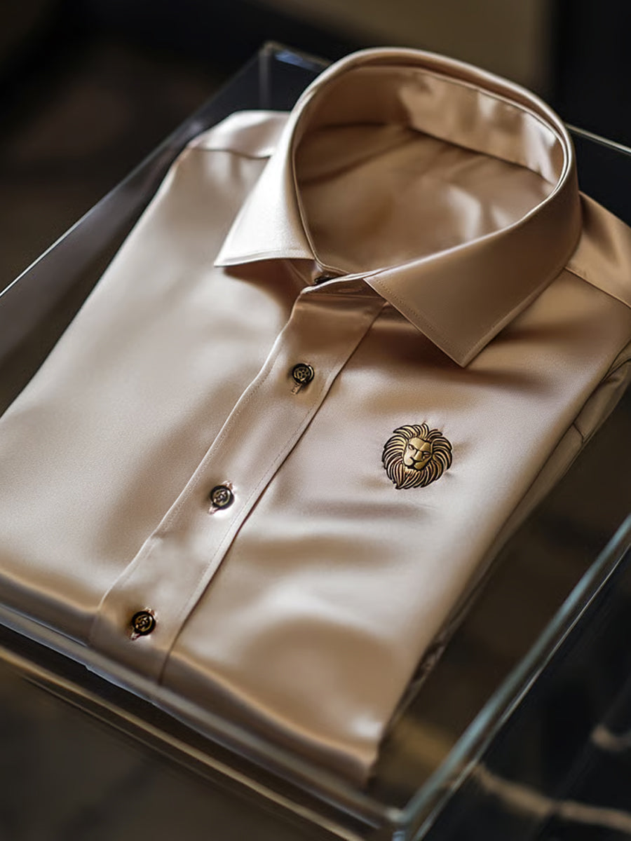 Ανδρική επιχείρηση πολυτελεία επιχειρηματικό στυλ μακριά μανίκι πουκάμιση